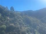25066 Mulholland Hwy - Photo 14