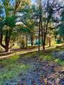 2604 Tirol - Photo 1