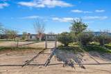 49133 Manzanita Drive - Photo 3