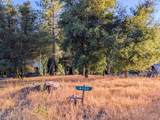 20130 Pine Mountain Dr #4,137 - Photo 6