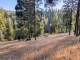 20130 Pine Mountain Dr #4,137 - Photo 7