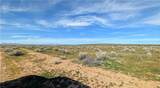 13251 135th Street - Photo 2