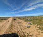 13251 135th Street - Photo 4