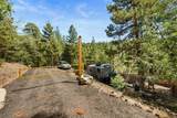 1275 Fawnskin Drive - Photo 1
