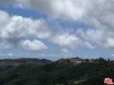 33174 Mulholland Highway - Photo 11