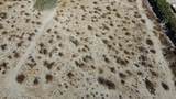 2 .5 Acres_ Garnet - Photo 4