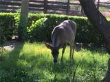 0 Nickel Creek Road - Photo 13