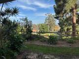 5369 Algarrobo - Photo 25