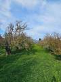 0 Varni Rd - Photo 1