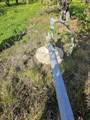 0 Varni Rd - Photo 4