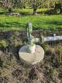 0 Varni Rd - Photo 5
