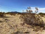 42979 Mandril - Photo 11