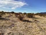 42979 Mandril - Photo 12