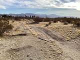 42979 Mandril - Photo 2