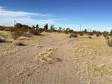 42979 Mandril - Photo 4