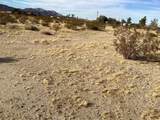 42979 Mandril - Photo 6