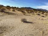 42979 Mandril - Photo 7