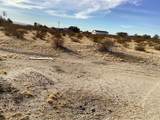 42979 Mandril - Photo 8