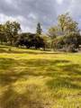 4959 Sierra Pines - Photo 10