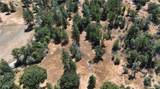 4959 Sierra Pines - Photo 6