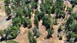 4959 Sierra Pines - Photo 7