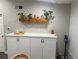 23 Pomelo - Photo 27