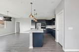 29235 Mangrove - Photo 12