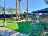 80372 Camino San Lucas - Photo 112