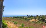 29660 Harvester Road - Photo 45