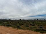 0 20 Mule Team Road - Photo 10