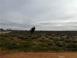 0 20 Mule Team Road - Photo 17