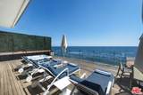 24380 Malibu Road - Photo 13