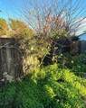 363 Bissell Ave - Photo 21