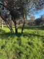 3606 Oleander - Photo 3