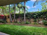 25251 Oak Canyon Lane - Photo 34