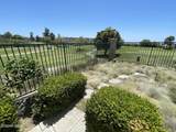 1009 Del Tio Court - Photo 4