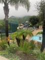 16891 Avenida De Santa Ynez - Photo 16