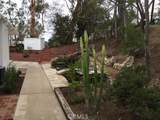 12626 Baja Panorama - Photo 11