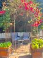 100 Cliff Drive - Photo 29