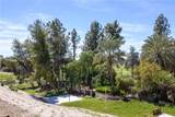 5808 Levanto Street - Photo 60