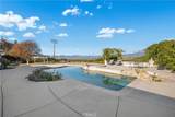 43840 Citrus View - Photo 39