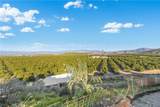 43840 Citrus View - Photo 49