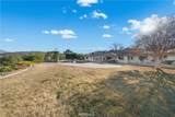 43840 Citrus View - Photo 50