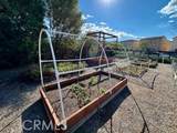 21709 Bene Drive - Photo 26