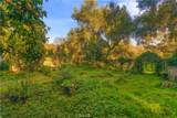 1027 Live Oak Park - Photo 27