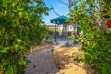 49650 Date Palm Drive - Photo 57