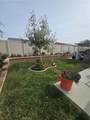 29032 Aubrey Cir - Photo 5