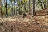 0 Cedar Creek - Photo 3