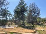 163 Loma Alta Drive - Photo 6