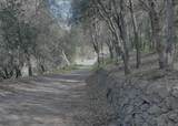 32906 Rincon Rancho Rd - Photo 15